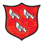 邓多克U20logo